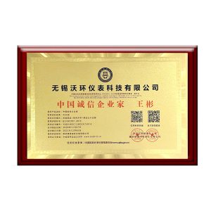 Chinese Integrity Entrepreneur Bin Wang